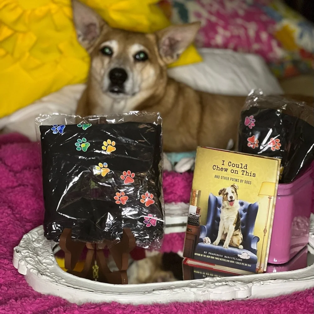 NWT Colors of the Rainbow Paw Prints Graphic T-Shirts - Picture 4 of 6